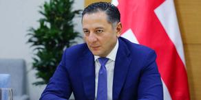 Minister of Internal Affairs makes first comment on Shakarashvili's case