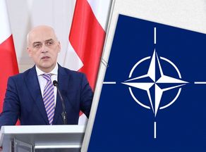 Грузия приблизилась к членству в НАТО - Давид Залкалиани
