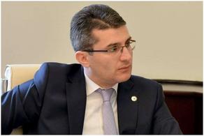 Mamuka Mdinaradze: We will support Irakli Shotadze
