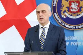 Georgian Foreign Minister expressed concern about violence in Iraq