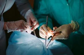 Впервые в мире проведена пересадка кисти руки от живого донора