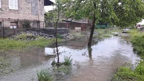 Natural disaster in Lagodekhi - heavy rains affected villages