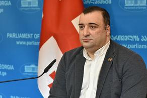 Ионатамишвили: мы слышали от оппозиции только личные оскорбления
