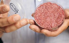 მომავალში ხორცი და რძე ხელოვნური იქნება - მეცნიერები