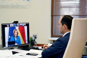 Леван Давиташвили принял участие в Берлинском онлайн-министериале