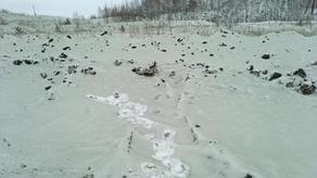 რუსეთში მწვანე თოვლი მოვიდა