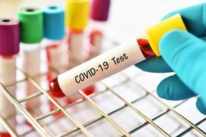 Количество инфицированных COVID-19 в Грузии возросло