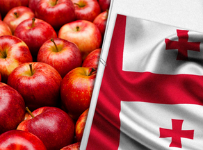 Грузия экспортировала 776 тонн яблок