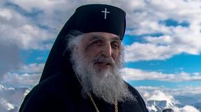 Патриархия Грузии выпустила заявление о владыке Стефане