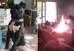 10-month old French Bulldog sets house on fire in Austria - VIDEO