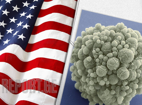 ამერიკელმა მიკრობიოლოგებმა კიბერორგანიზმი შექმნეს