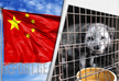 Animal farms and threat of new viruses from China - VIDEO