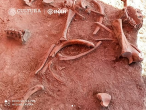 მექსიკაში არქეოლოგებმა მამონტების და ადამიანების ნაწილები აღმოაჩინეს