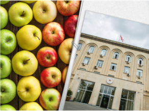 არასტანდარტული ვაშლის რეალიზაცით ფერმერებმა 9 მლნ ლარზე მეტი შემოსავალი მიიღეს
