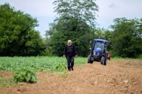 Грузинские фермеры на 1 га земли получат помощь в размере 850-1700 лари