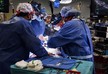 ქირურგმა ოპერაციების დროს ორი პაციენტის ღვიძლზე საკუთარი ინიციალები ამოწვა