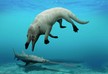 Remains of a four-legged whale found in Egypt