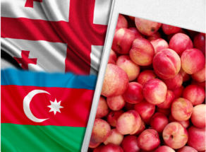 За 8 месяцев Грузия осуществила экспорт в Азербайджан на сумму 284,3 миллиона долларов