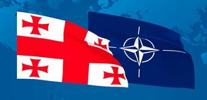 NATO days in Georgia