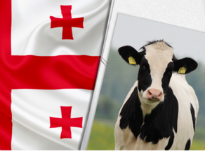 В Грузии введен местный стандарт молоководства