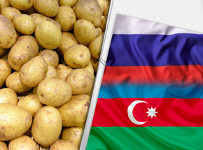 Основная часть экспорта картофеля приходится на Россию и Азербайджан