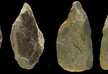 В Италии обнаружены древние костяные орудия возрастом около 400 000 лет