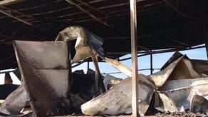 Refrigeration farm of the so-called criminal authority burnt down in Chumlaki