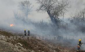 Fire brigades localize flames in Azerbaijan’s Shaki district  -  Updated