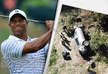 Tiger Woods discharged from hospital