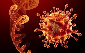 ВОЗ выбрала название для нового штамма коронавируса
