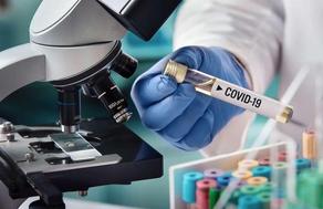 Число инфицированных коронавирусом увеличилось на 5 человек