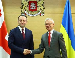 Gharibashvili met with the Ambassador of Ukraine