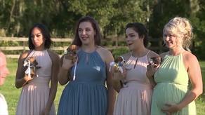 Bridesmaids carry puppies at Florida couple's wedding - VIDEO