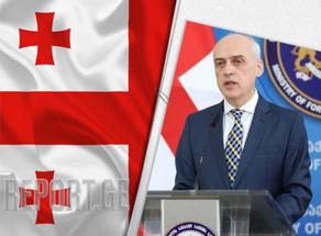 Georgian FM: Russia's attempts to divide Europe and appropriate lands are unacceptable