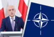 Сегодня состоится заседание Североатлантического совета НАТО с участием Грузии и Украины