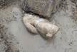 В Турции обнаружили древнюю статую Геракла
