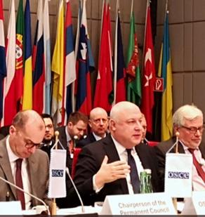 Gigi Tsereteli makes speech at OSCE Ministerial Council meeting