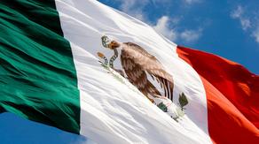 მექსიკაში ავიაკატასტროფის შედეგად 5 ადამიანი დაიღუპა