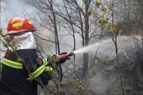 Adigeni forest fire extinguished