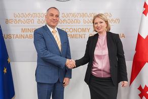 Georgia, Israel to develop the new economic relationship