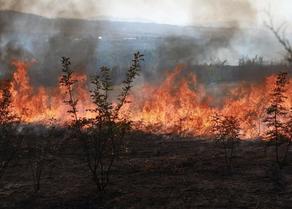 Fire breaks out in Tsageri municipality