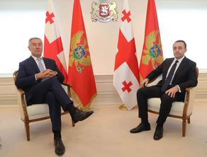 Ираклий Гарибашвили встретился с президентом Черногории