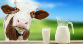 Milk price rises in Georgia