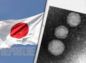 იაპონელმა მეცნიერებმა ვირუსების გენომის მუტაციების რეპროდუცირების ახალი მეთოდი წარმოადგინეს
