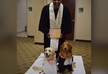 Therapy dogs get married in Texas hospital wedding ceremony - VIDEO
