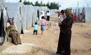 თურქეთმა ISIS -ის 2 წევრი ქალი ბავშვებთან ერთად ნიდერლანდებში დააბრუნა