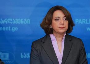 Opposition politician Samadashvili welcomes decision of Nika Melia