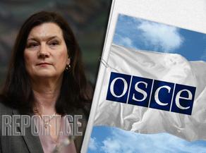 OSCE Chairperson: Chocked by the tragic death of Lekso Lashkarava