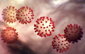 Coronavirus cases top 2,5 million worldwide