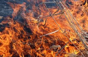 Man burnt alive in his yard in Kobuleti